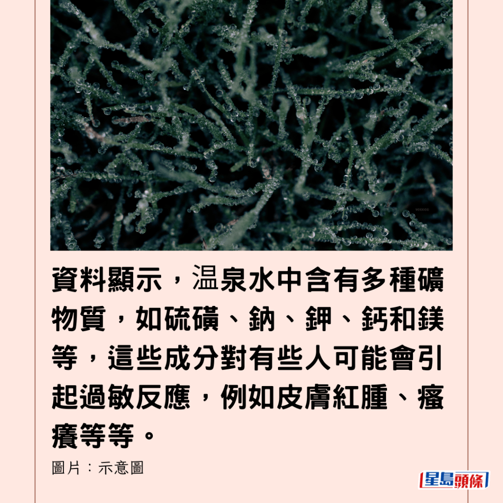 資料顯示，温泉水中含有多種礦物質，如硫磺、鈉、鉀、鈣和鎂等，這些成分對有些人可能會引起過敏反應，例如皮膚紅腫、瘙癢等等。