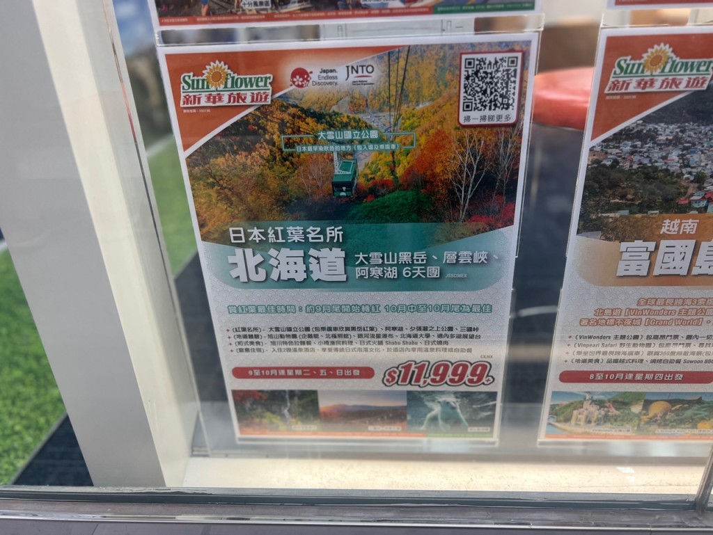 不同旅行社近期分別推出秋季紅葉團。林曉敏攝