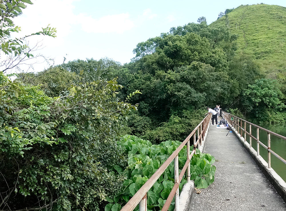 六）何東夫人醫局・生態研習中心｜近年由嗇色園活化為生態研習中心，向市民提供實地生物考察課程及體驗活動。