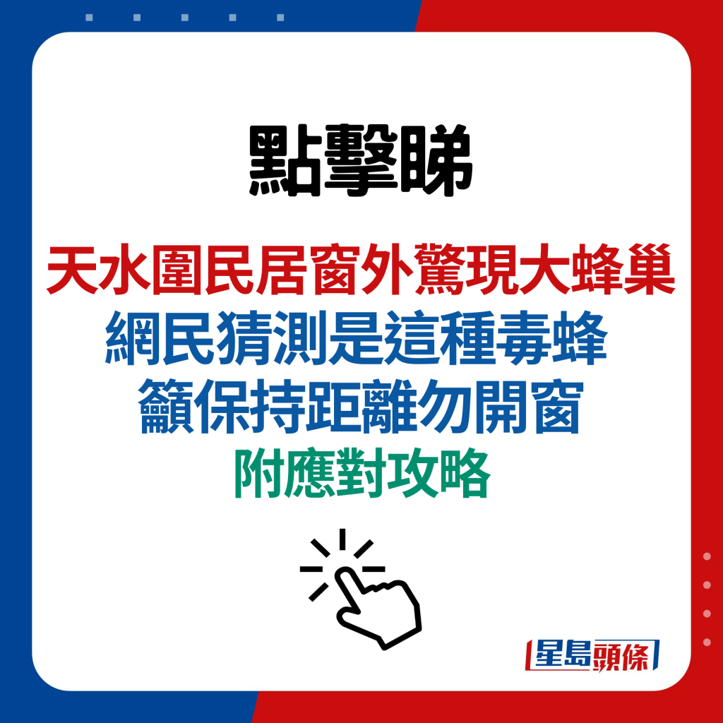 天水围民居窗外惊现大蜂巢 网民猜测是这种毒蜂 吁保持距离勿开窗 （附应对攻略）