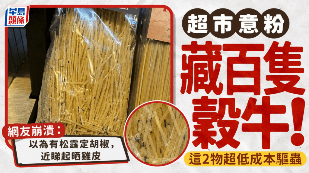 超市意粉藏百只谷牛！网友崩溃：以为有松露定胡椒  蒜头八角超低成本驱虫