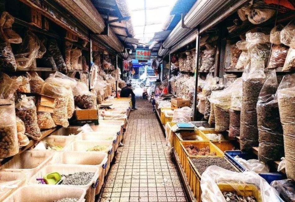 （圖片來源：KKday）