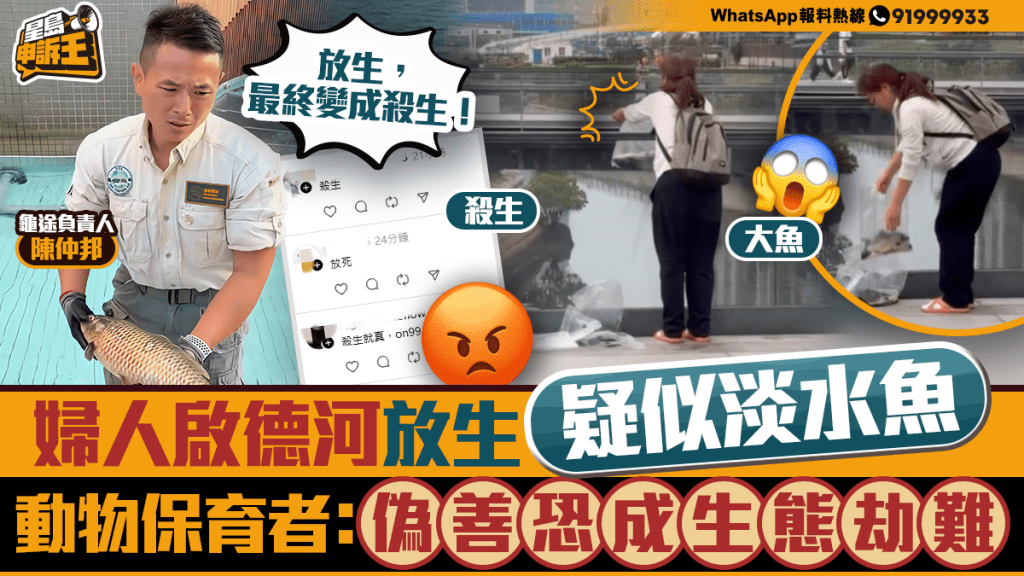 星島申訴王 | 婦人啟德河放生淡水魚    動物保育者怒斥放生變殺生：偽善影響生態