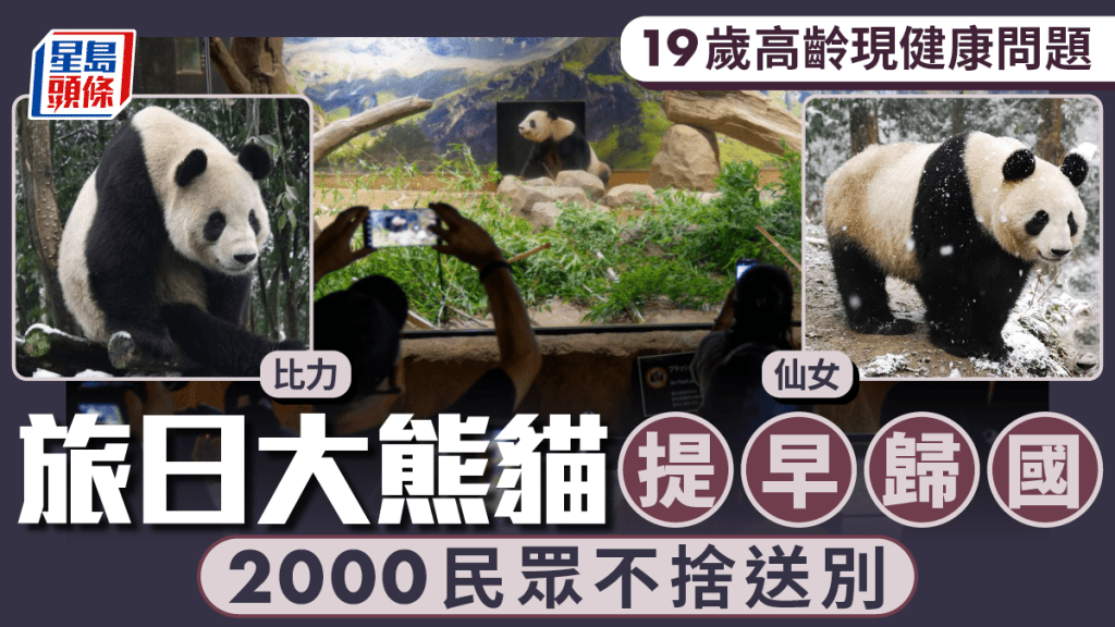 9月28日，遊客到日本東京上野動物園告別大熊貓「仙女」。(新華社)