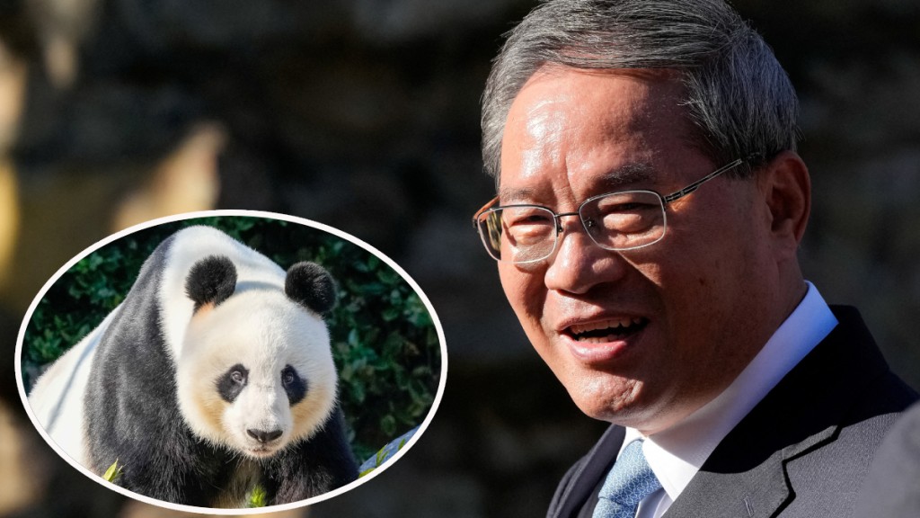 總理李強到訪澳洲阿德萊德動物園，並宣布將提供澳洲2隻新熊貓。(圓圖：大熊貓旺旺)（路透社）
