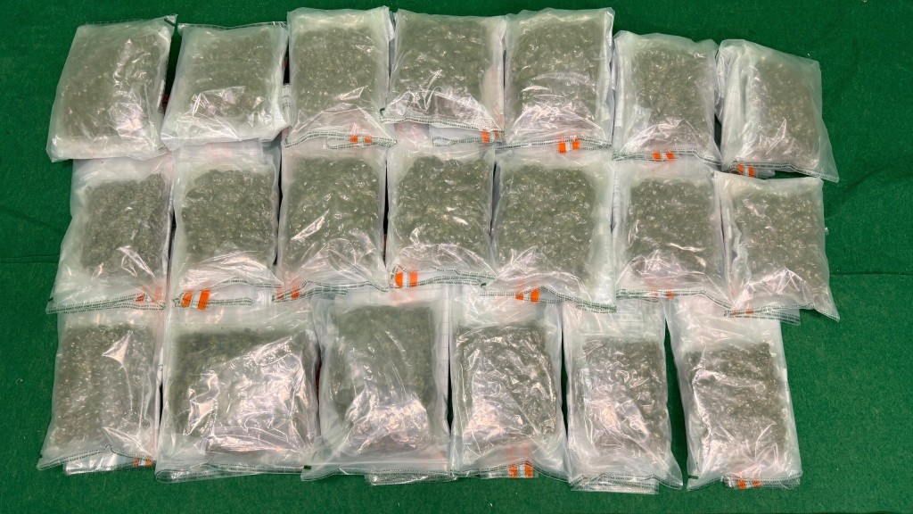 海關拘28歲曼谷抵港女 檢200萬元大麻花。海關圖片