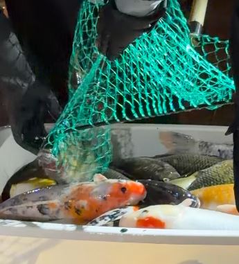 fb龜途 The Turtle's Inn圖片