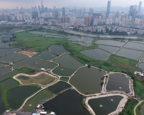蠔殻圍位於落馬洲河套區東北面。