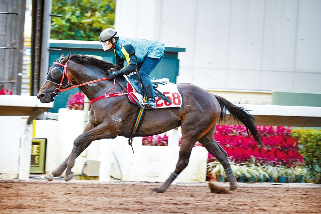 「精算赤焰」今戰具備各項利好條件，出頭是時候了。