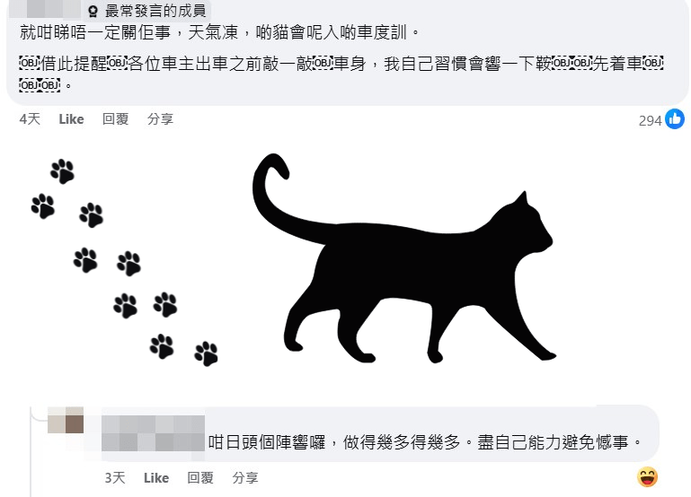 網民：就咁睇唔一定關佢（司機）事，天氣凍，啲貓會呢入啲車度瞓。fb「車Cam L（香港群組）」截圖