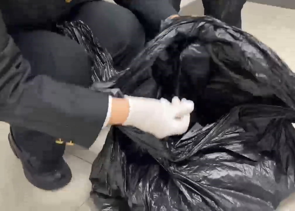 女子过关罗湖口岸被截，身上遭揭藏大量保健品。海关发布