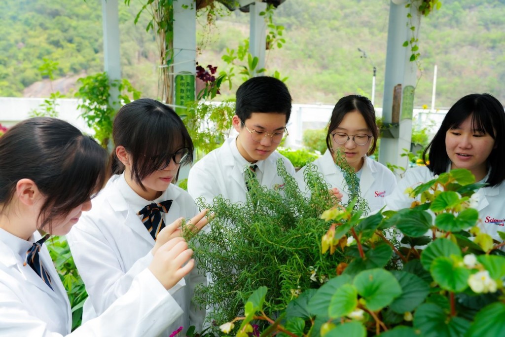 (圖片來源:受訪學校提供) (圖片來源:受訪學校提供)