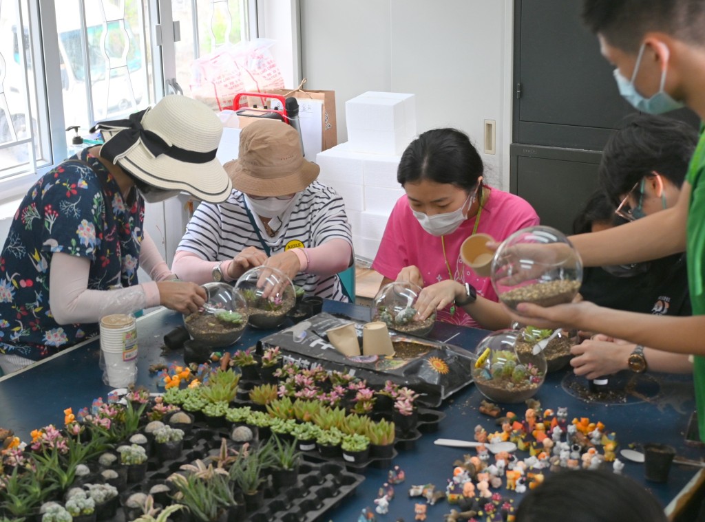 香港教育大學的同學（粉紅衣者），跟村民主持多肉植物盆栽工作坊。
