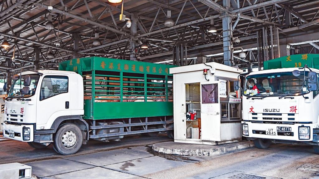 運輸界倡跨境貨車司機閉環式工作,獲運房局正面回應。資料圖片