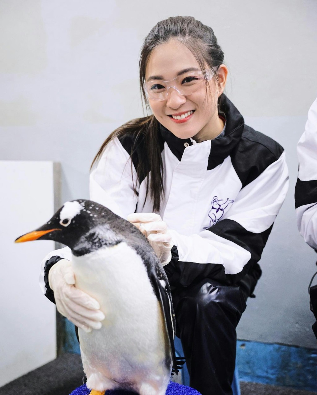 罗天宇同陈懿德一齐去睇企鹅。