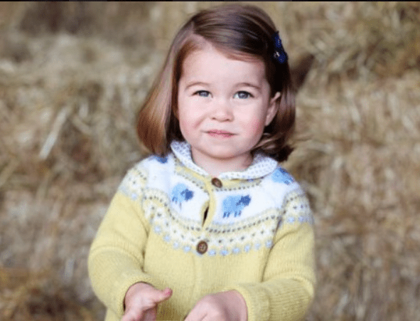 夏洛特公主2岁发布的生日照。路透