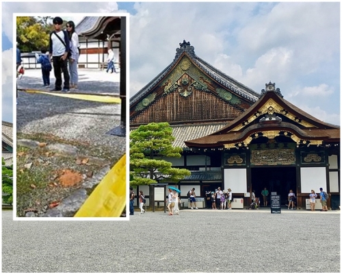 3台女在日本京都世界遺產「二條城」撒下茶色粉末。網圖