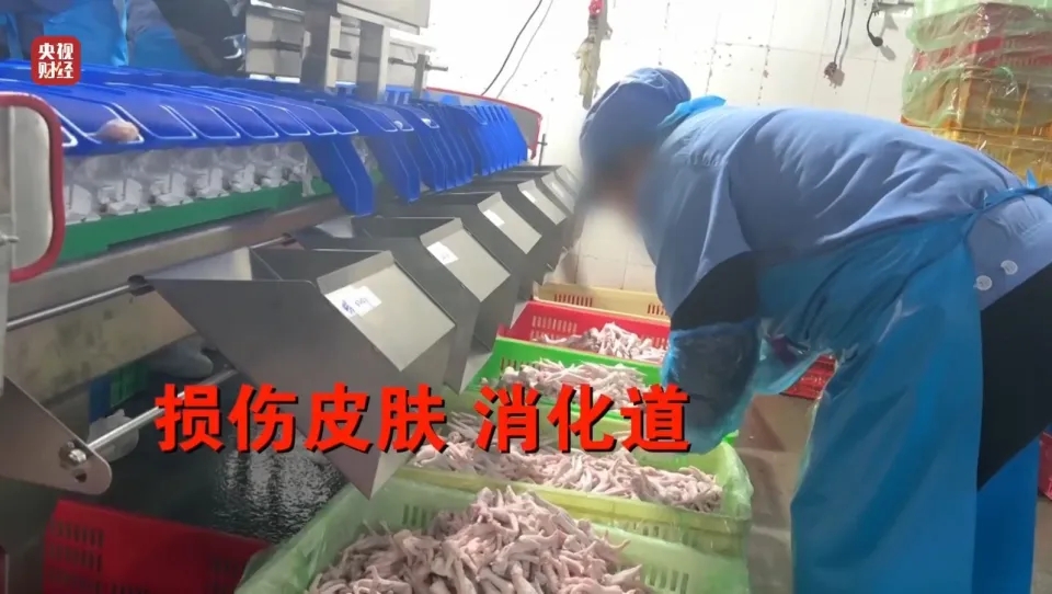 内地黑心凤爪以双氧水漂白,厂房虫鼠横行,工人自己不敢吃。 内地黑心凤爪以双氧水漂白,厂房虫鼠横行,工人自己不敢吃。