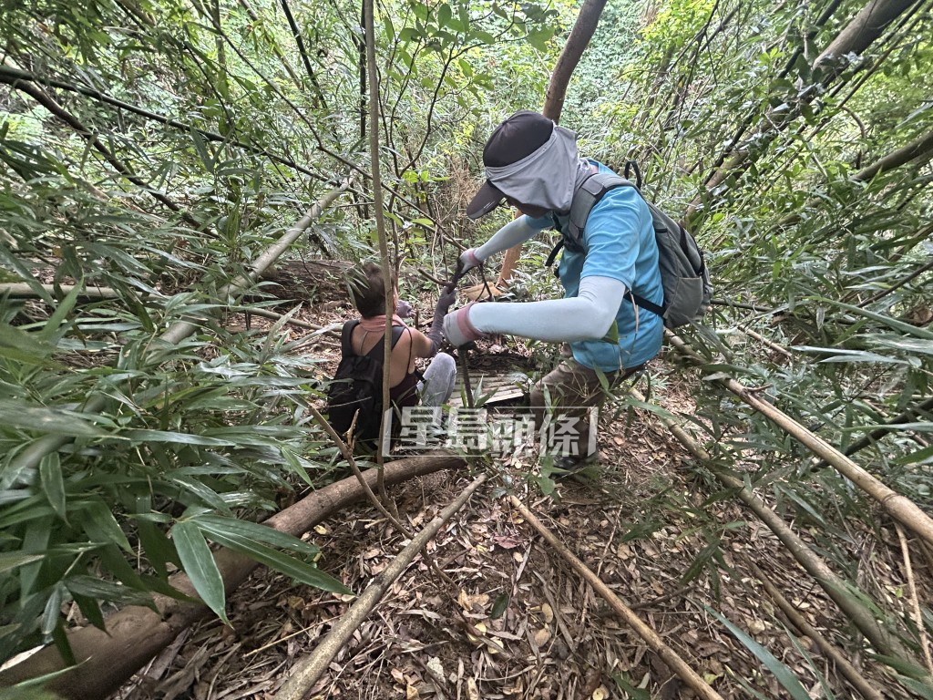 搜索隊「爆林」，尋找失竊的骨灰下落。  ​