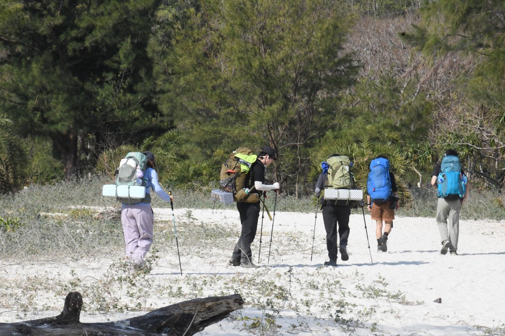 麥理浩徑一段附近的浪茄灣，行山露營旅客眾多。