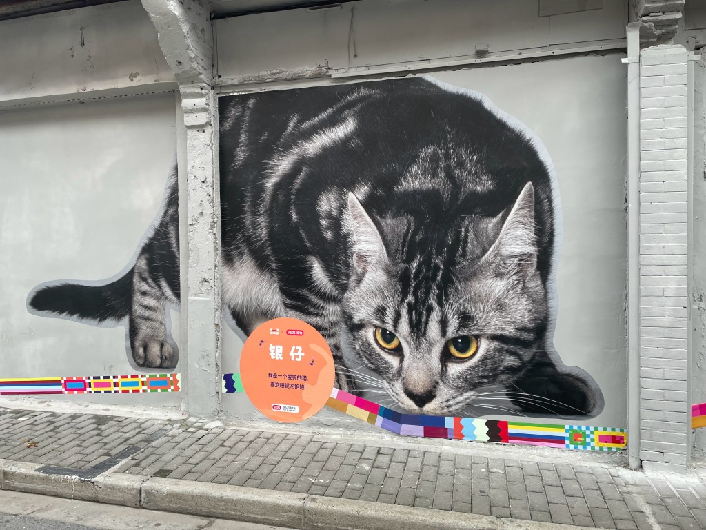 有指，壁畫貓咪相片是由上海民眾提供。(微博)