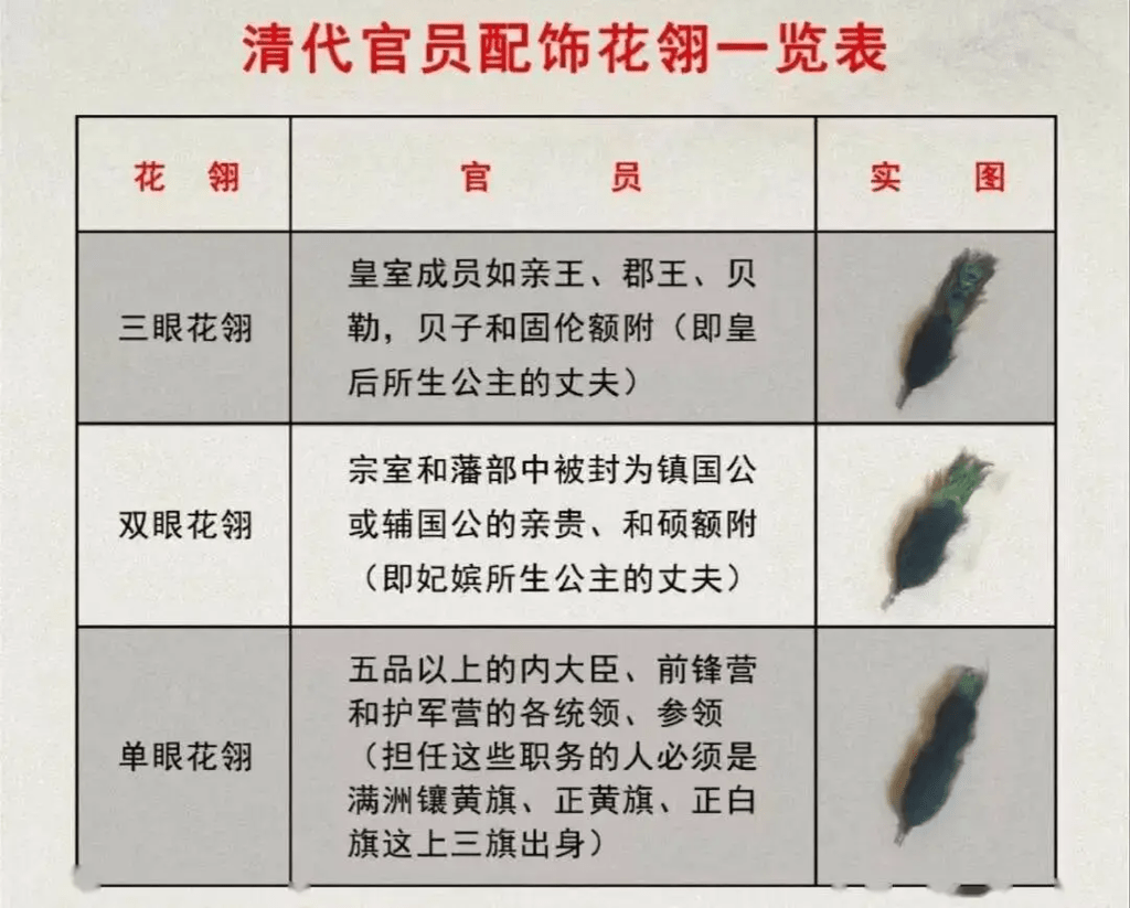 清代官員配飾花翎一覽表。