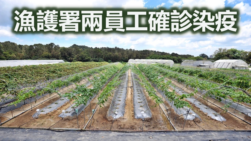 漁護署一名在上水大龍實驗農場工作的農林助理員染疫。資料圖片