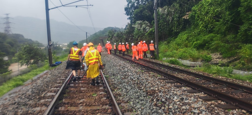 港鐵派人清理東鐵綫太和站附近塌樹及受損的電纜。港鐵提供 港鐵派人清理東鐵綫太和站附近塌樹及受損的電纜。港鐵提供