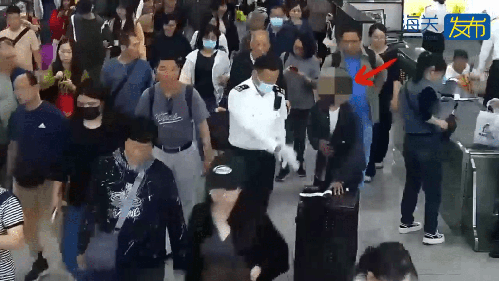 男子拱北口岸过关神色异常遭截查，关员检出50只活体蜥蜴。 