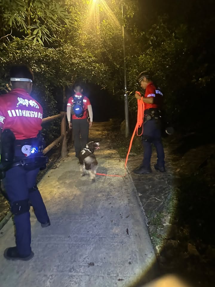 人員帶同搜索犬搜索。FB香港守望者服務團圖片 人員帶同搜索犬搜索。FB香港守望者服務團圖片
