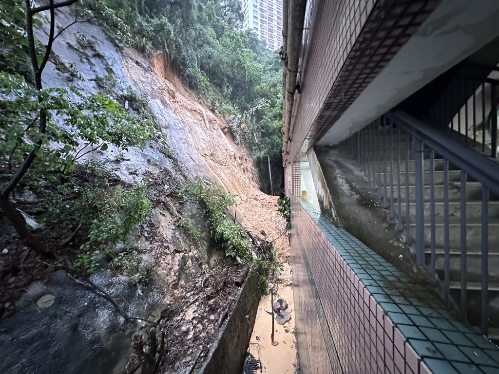 嘉翠園「冧山泥」。梁國峰攝