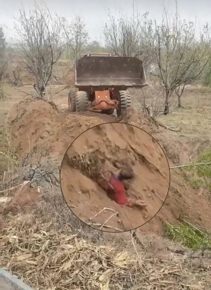 山西代縣原村支書開鏟車埋人被刑拘。