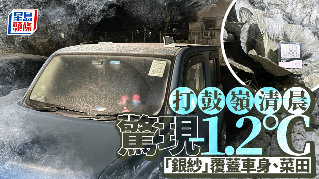 打鼓嶺清晨驚現-1.2°C 「銀紗」覆蓋車身、菜田