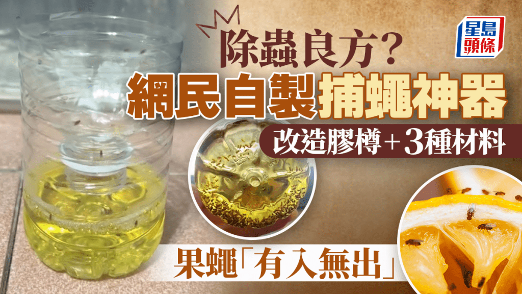 家居除蟲｜網民自製「捕蠅神器」改造膠樽加洗潔精/白醋/糖 果蠅有入無出！
