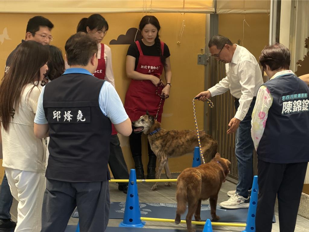 全台首座動物長期照顧園區昨在新北市正式啟用。中時 全台首座動物長期照顧園區昨在新北市正式啟用。中時