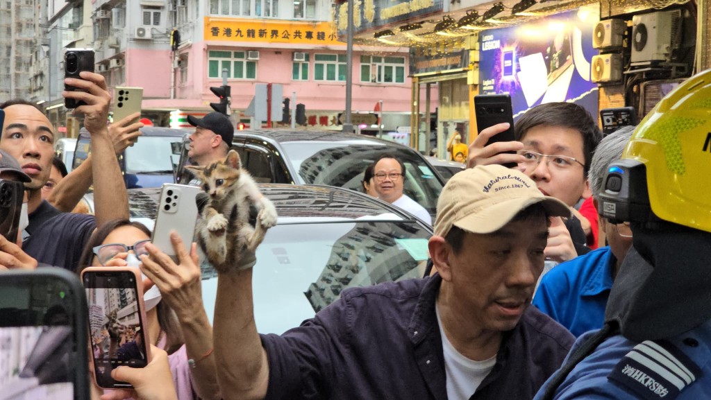 小猫最终获救。香港猫店长关注组FB群组