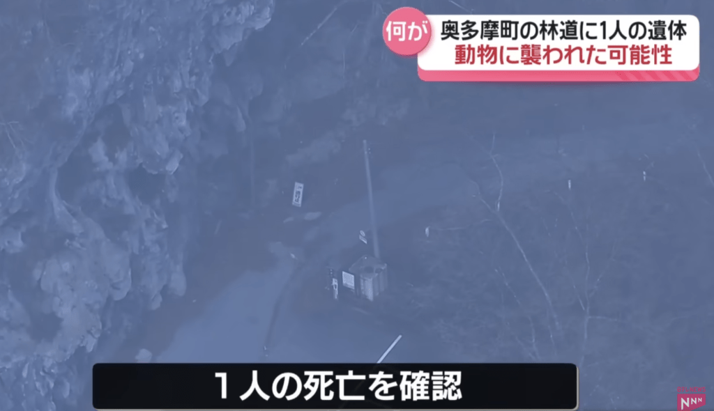 死者腹部殘留明顯咬痕，部分內臟更不翼而飛，疑曾遭兇猛野獸啃食。日媒ANN畫面截圖