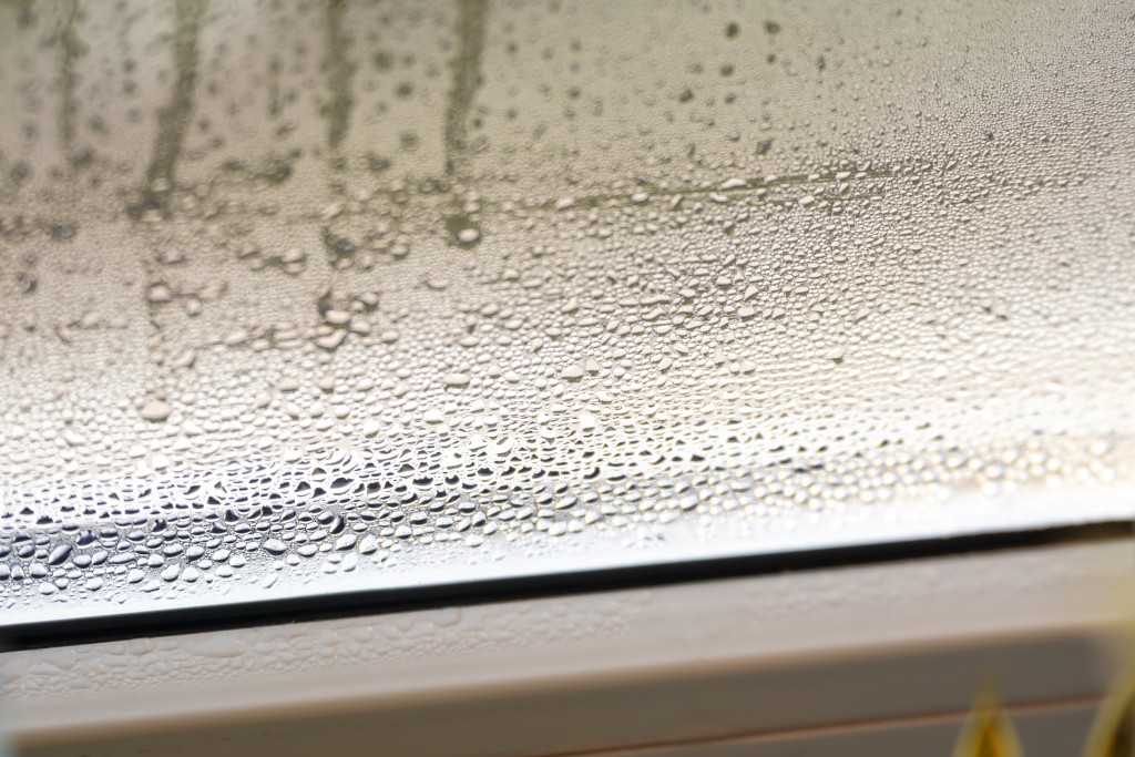 網上圖片 網上圖片