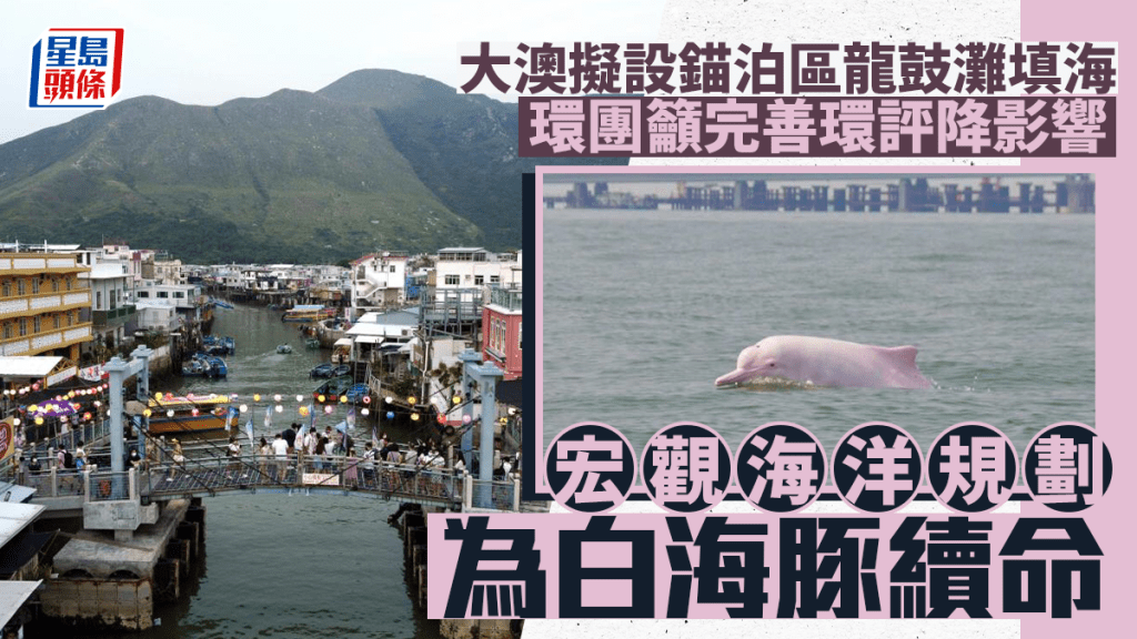 中华白海豚是本港回归的吉祥物，亦是国家一级保护动物。