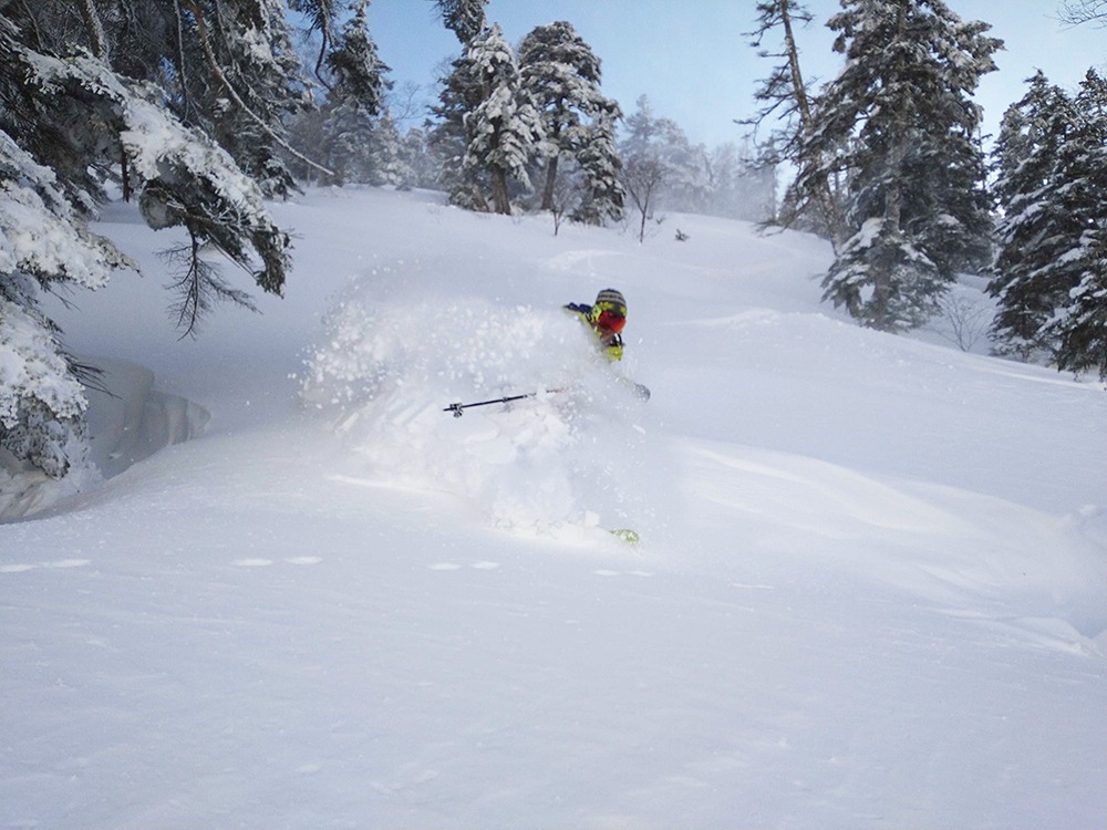 「神乐滑雪场」是新舄其中一个著名滑雪场。社交平台X