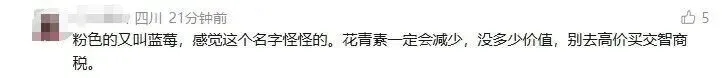 粉色蓝莓成网上热话。