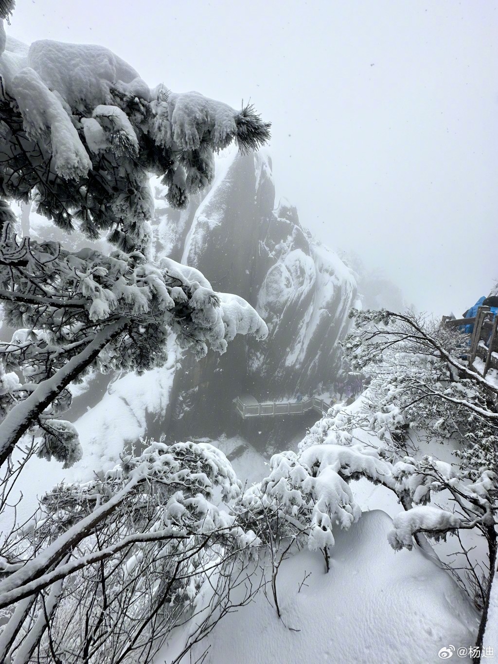 黃山被大雪封山，銀裝素裹。（微博）