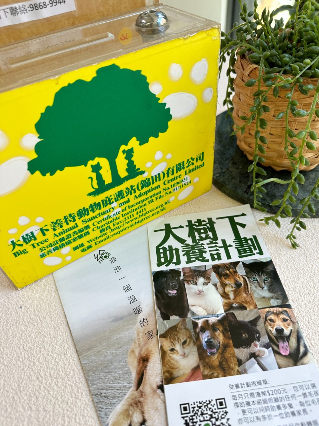 慈善街貓攝影展｜於展覽期間，#bistrocity特設了一個慈善捐贈箱，供有興趣幫助流浪貓狗的食客自由捐贈。