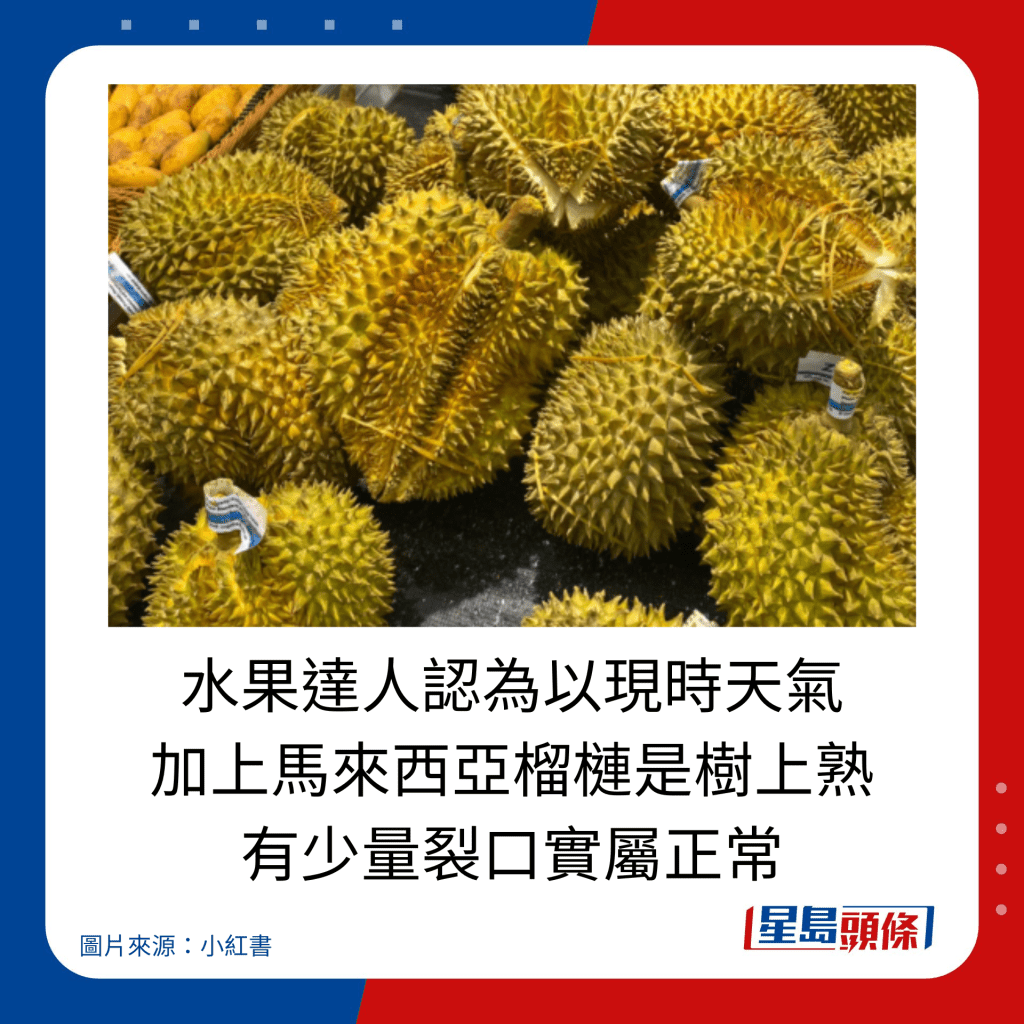  揀榴槤貼士｜水果達人認為以現時天氣 加上馬來西亞榴槤是樹上熟 有少量裂口實屬正常。