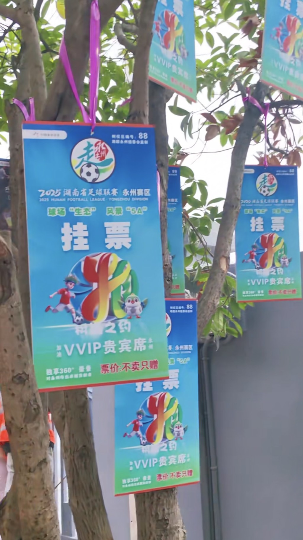 湖南永州足球協會推出樹上掛票。抖音@Mr.歡歡 湖南永州足球協會推出樹上掛票。抖音@Mr.歡歡