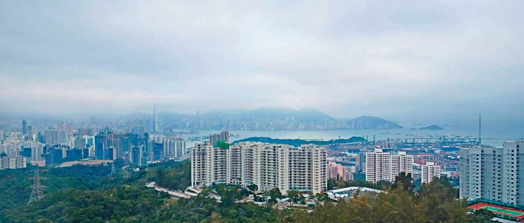 單位可覽九龍市景，天色晴朗時更可眺維港。