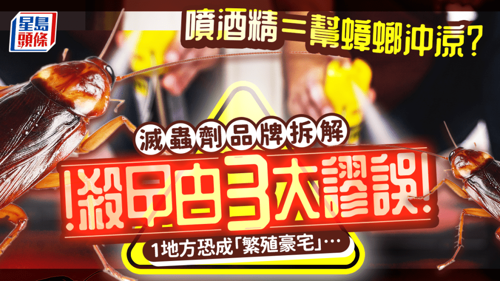噴酒精等同「替蟑螂洗澡」？滅蟲劑品牌拆解殺曱甴3大謬誤！1地方恐成「繁殖豪宅」…