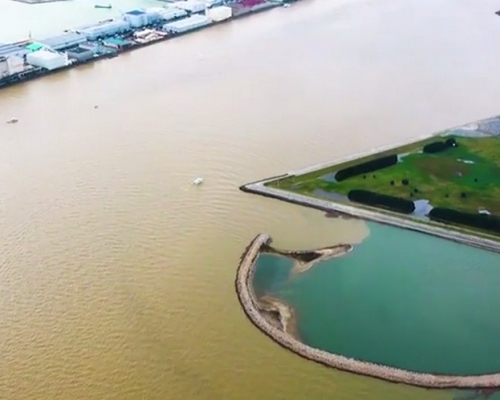 大阪灣出現兩種顏色。