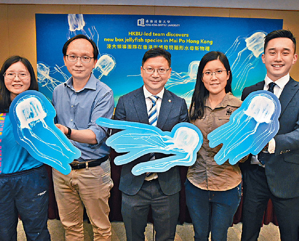 ■由浸大領導的團隊在米埔自然保護區發現新水母物種。