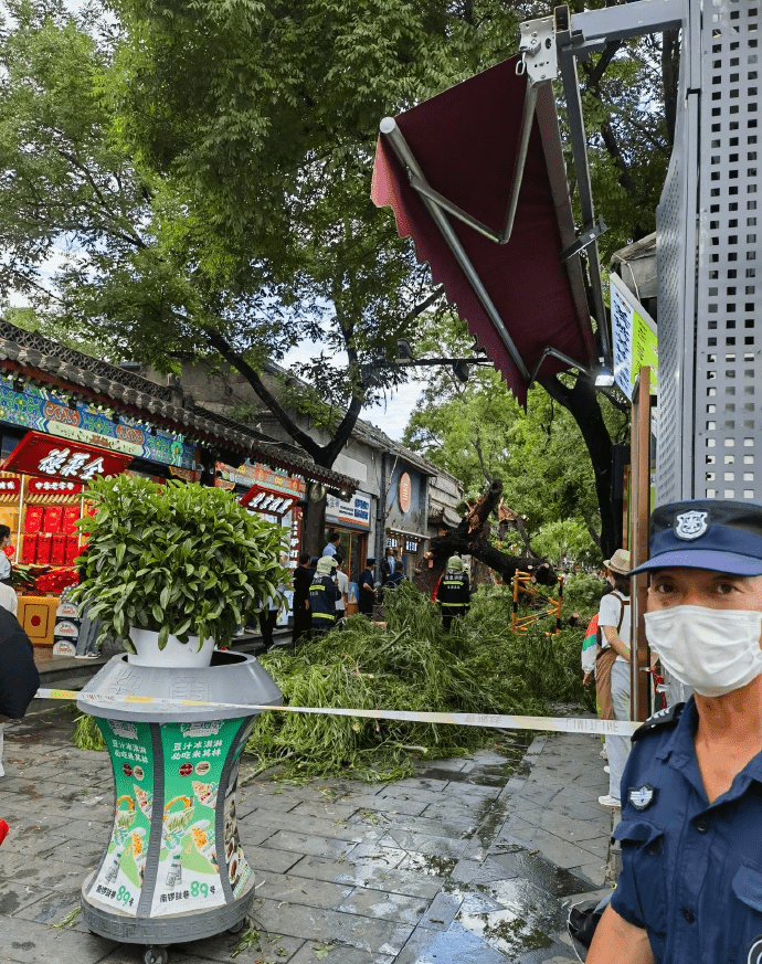 在南锣鼓巷南端、与福祥胡同交叉口北侧有三棵树木因风雨发生倒伏。
